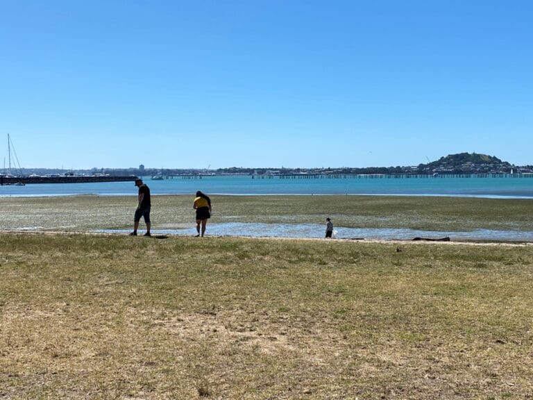 Younity gives back with Sustainable Coastlines