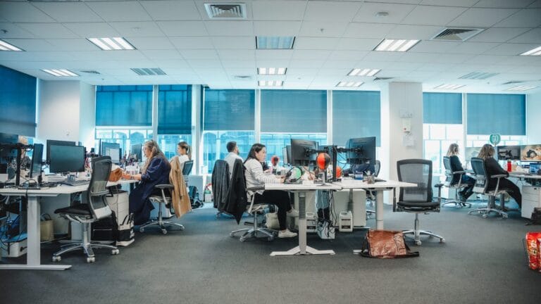 NZ’s IT Market Shows Promise as Professionals Return to Work